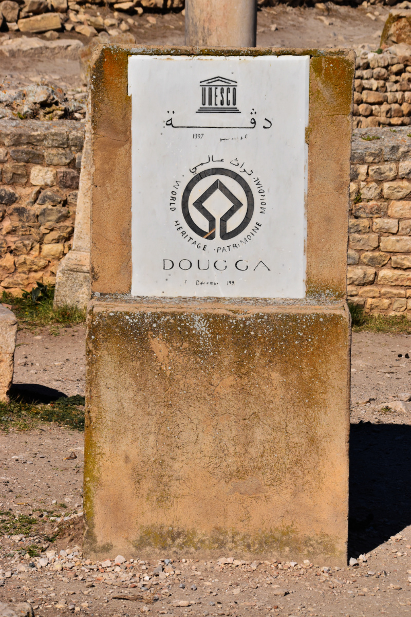 14 a DSC 0353