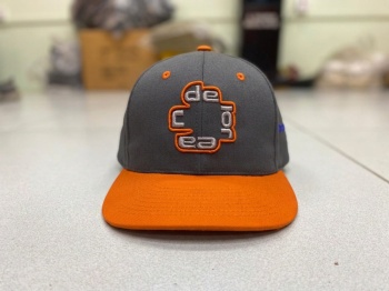 Cap DWT Logo 2026 cap2026